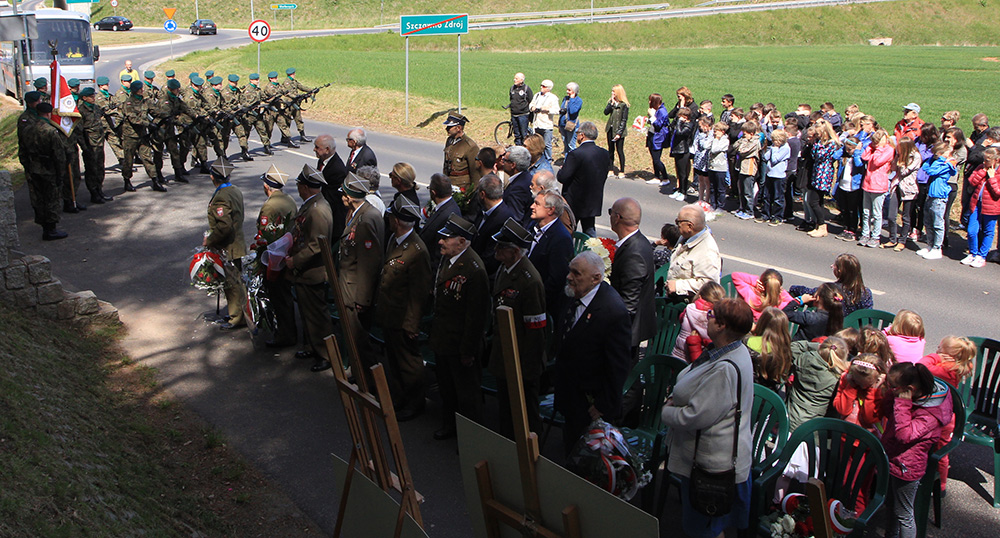 Obchody 208. rocznicy bitwy na Czerwonych Wzgórzach. Szczawno-Zdrój, maj 2015. Fot. Ryszard Wyszyński