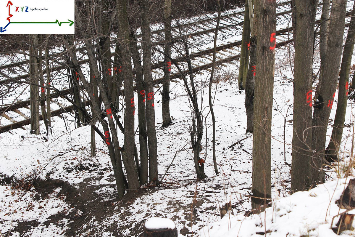 01.02.2016, Wałbrzych Oznaczone do wycięcia drzewa rosnące na nasypie kolejowym na 65 km trasy Wrocław-Wałbrzych. Źródło: Facebook XYZ Spółka Cywilna