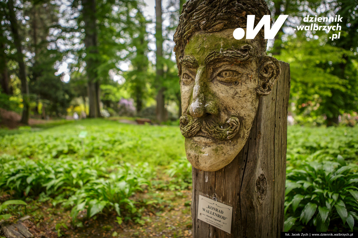 01.05.2018 Wojsławice. Arboretum. fot. Jacek Zych / Dziennik Wałbrzych