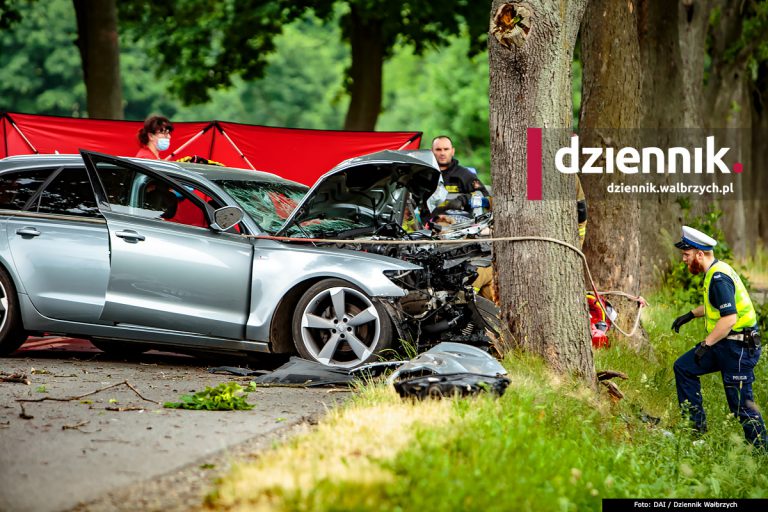 Tragiczny wypadek pod Olszyńcem. Auto uderzyło w drzewo