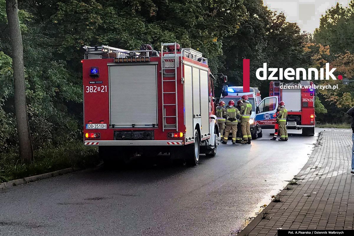 Szczawno-Zdrój. Kierowca zjechał do rowu i uderzył w drzewo. Fot. Agnieszka Pisarska / Dziennik Wałbrzych