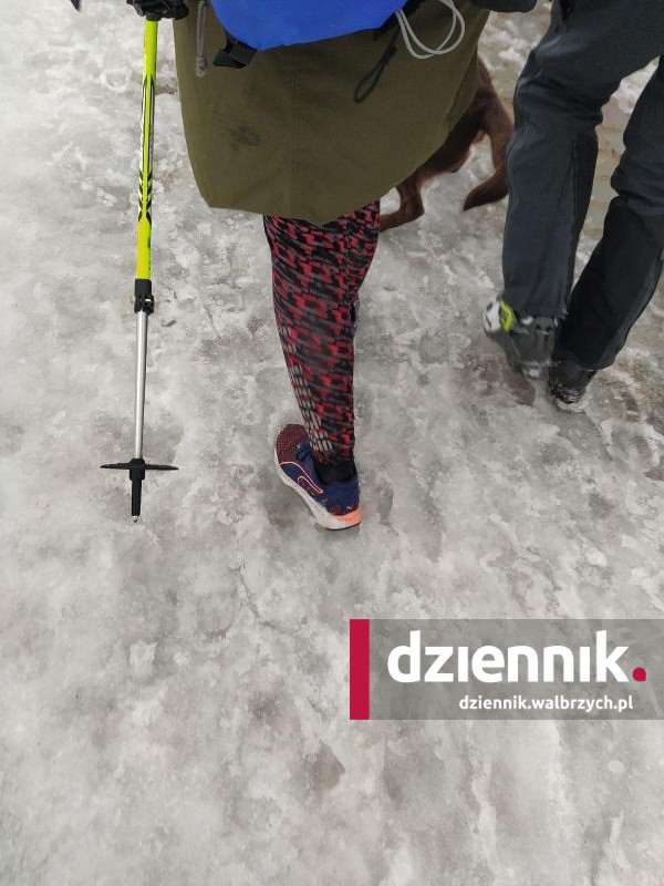 Dolny Śląsk. Niemcy z trzema psami, dzieckiem i spacerowym wózkiem utknęli na Śnieżce. Interweniowali ratownicy GOPR fot. użyczona / GOPR Karkonosze