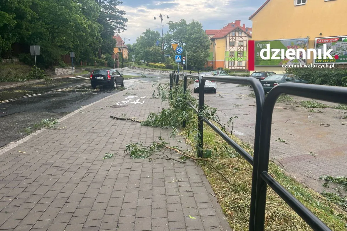 Połamane drzewa i konary na drogach. Przez region przechodzą intensywne burze