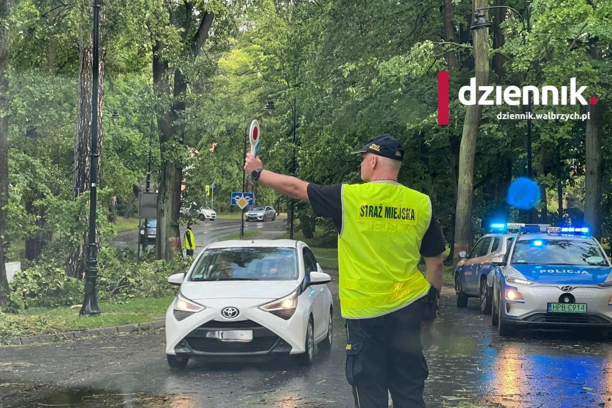 Połamane drzewa i konary na drogach. Przez region przechodzą intensywne burze
