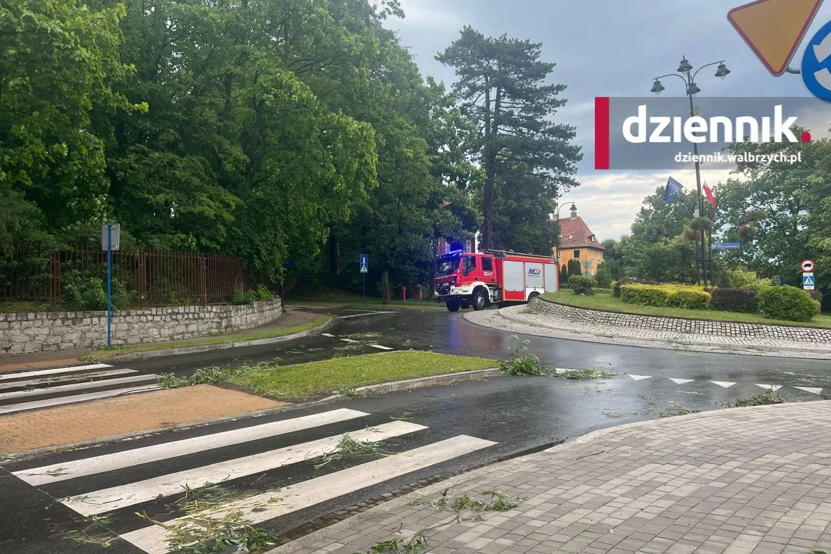 Połamane drzewa i konary na drogach. Przez region przechodzą intensywne burze