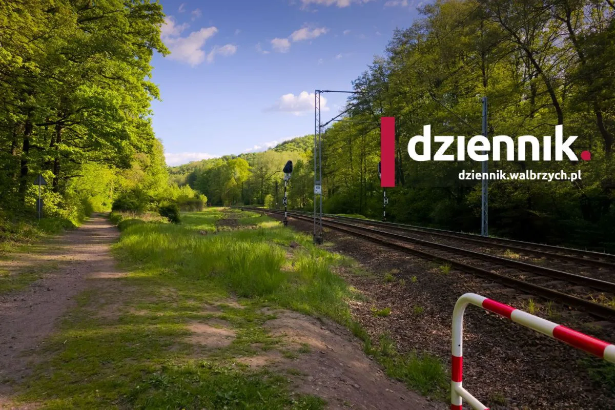 To tu chcą szukać "złotego pociągu"?