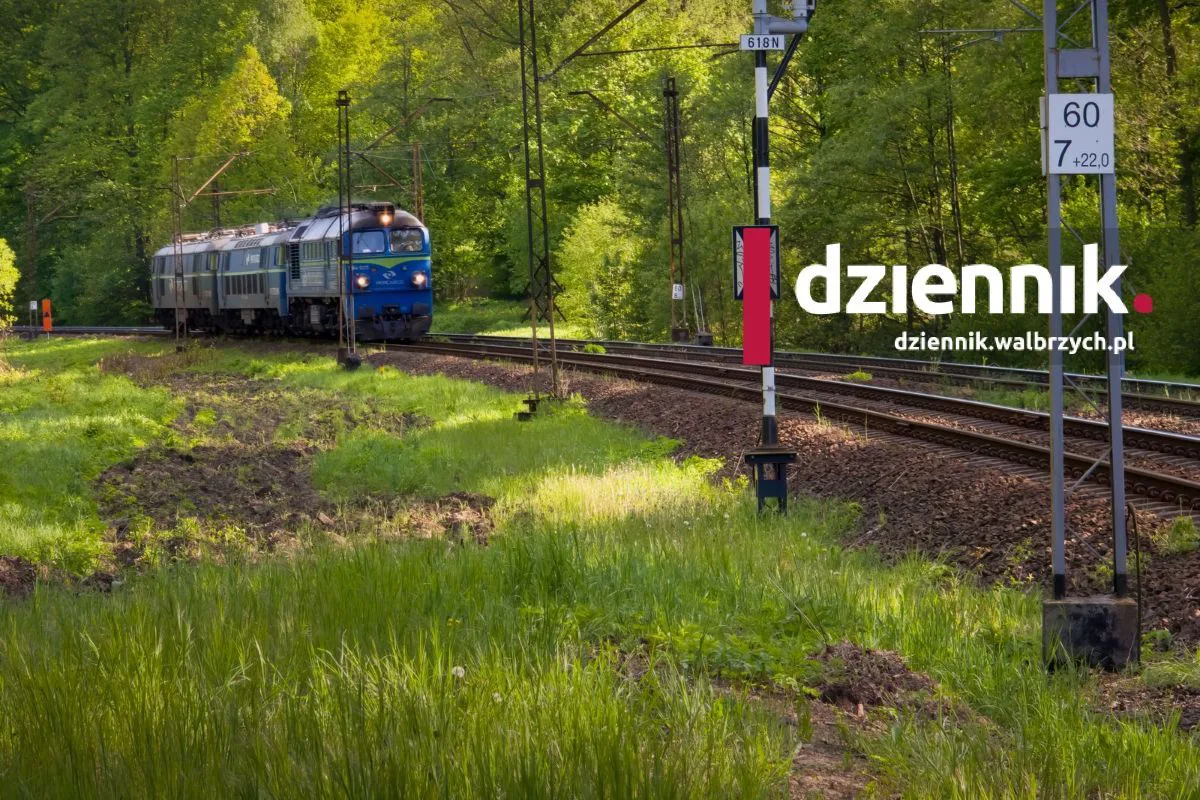 To tu chcą szukać "złotego pociągu"?