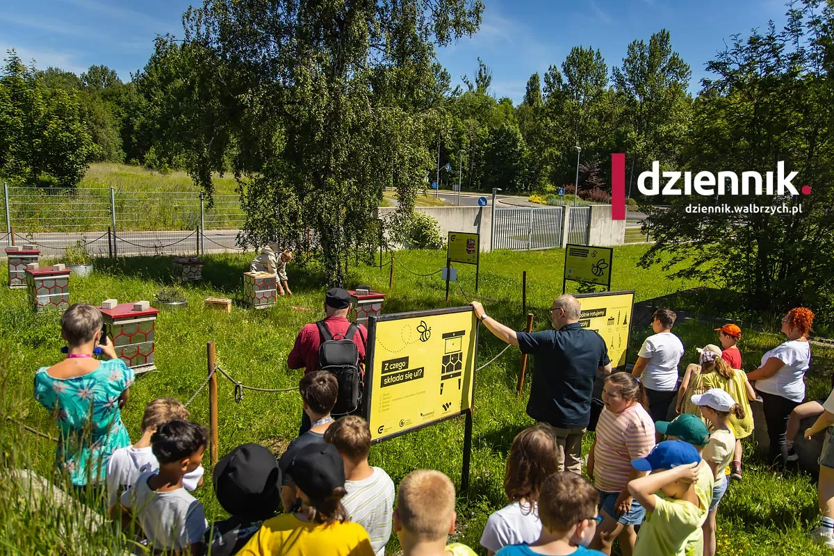 Wałbrzych. 100 kilogramów miodu z uli ze starych pralek. Czwarte wałbrzyskie miodobranie