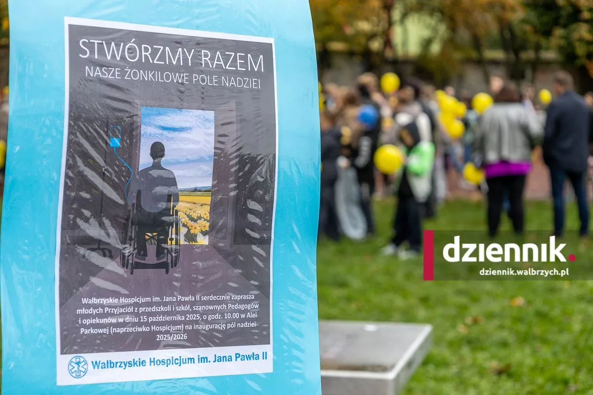 Pola Nadziei w Wałbrzychu. Żonkile posadziła młodzież