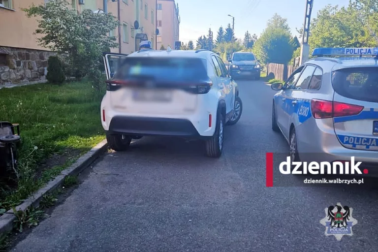 Wałbrzych. Rozbite śmietniki i uszkodzone auto. Pijana kobieta zatrzymana na ulicy Dąbrowskiej fot. Komenda Miejska Policji w Wałbrzychu