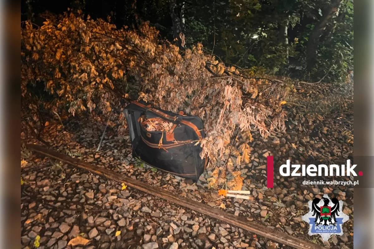 Nocny włam do drezyny kolejowej w Wałbrzychu. 21-latek został zatrzymany na gorącym uczynku