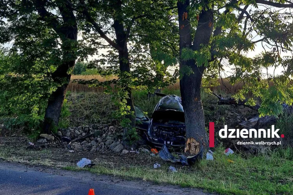 Poważny wypadek koło Ząbkowic Śląskich. Autem kierował 22-latek bez prawa jazdy fot. Komenda Powiatowa Policji w Ząbkowicach Śląskich