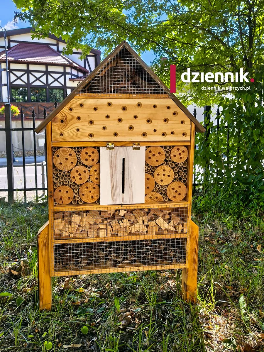 Nowe schronienia dla owadów i jeży w placówkach Powiatu Wałbrzyskiego.