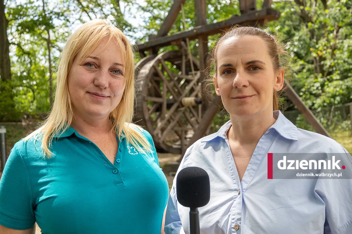 Wakacyjna trasa dla turystów w Twierdzy Srebrna Góra. Nowe atrakcje i historyczna podróż w czasie